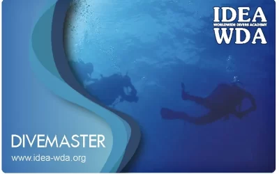 Il 24 febbraio Inizia il corso DIVEMASTER