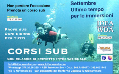 Settembre ed ottobre ultimi mesi per i corsi sub in mare